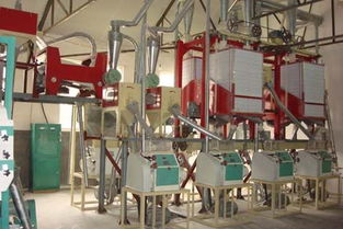 【面粉機組、面粉機成套設備專業(yè)的生產廠家】